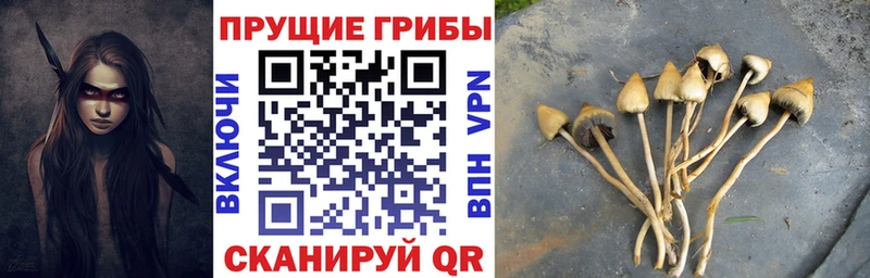 Галлюциногенные грибы Magic Shrooms  мориарти формула  Ухта  что такое  